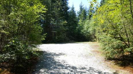 Widgeon 260 008.jpg