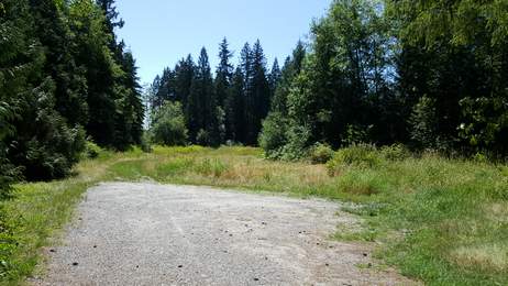 Widgeon 260 009.jpg