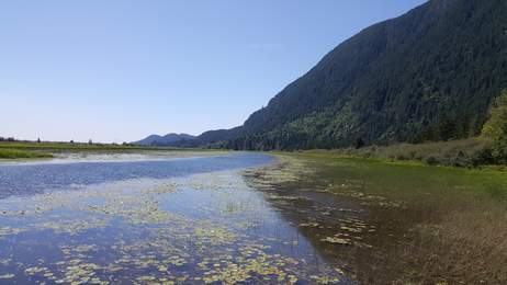 Widgeon 260 032.jpg