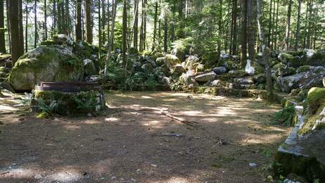Widgeon 260 051.jpg